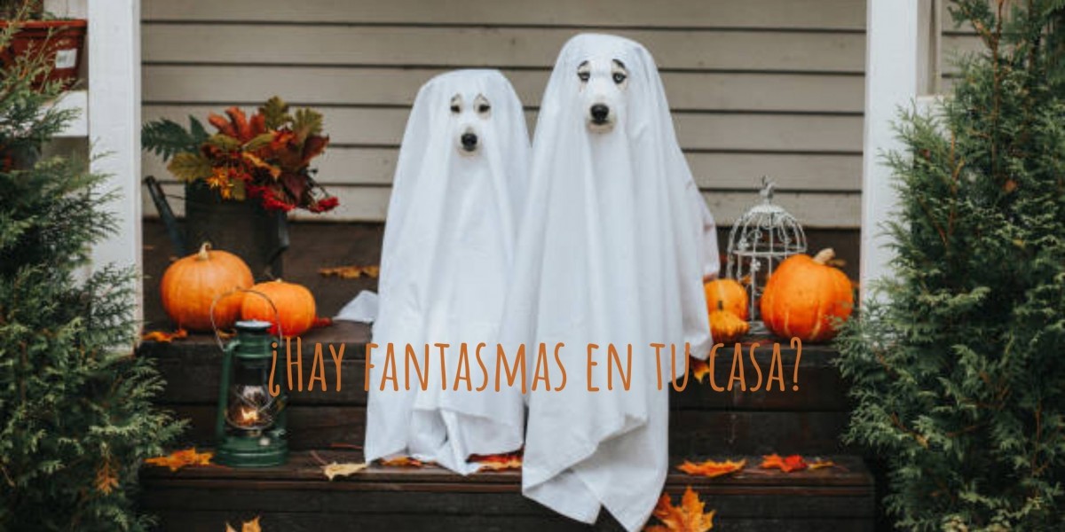 ¿Hay fantasmas en tu casa?