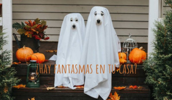 ¿Hay fantasmas en tu casa?
